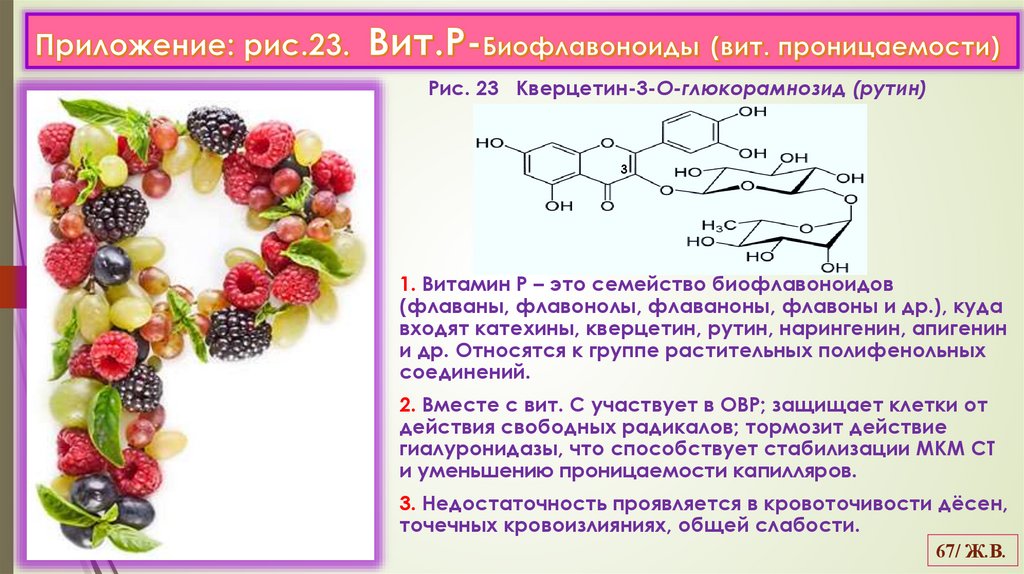 Приложение: рис.23. Вит.Р-Биофлавоноиды (вит. проницаемости)