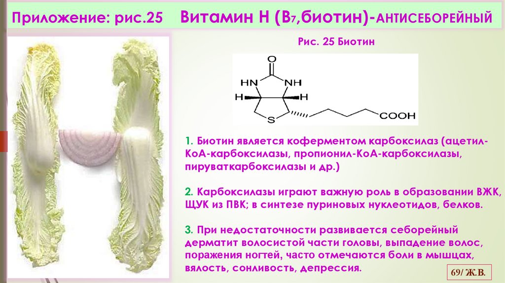 Приложение: рис.25 Витамин Н (В7,биотин)-АНТИСЕБОРЕЙНЫЙ