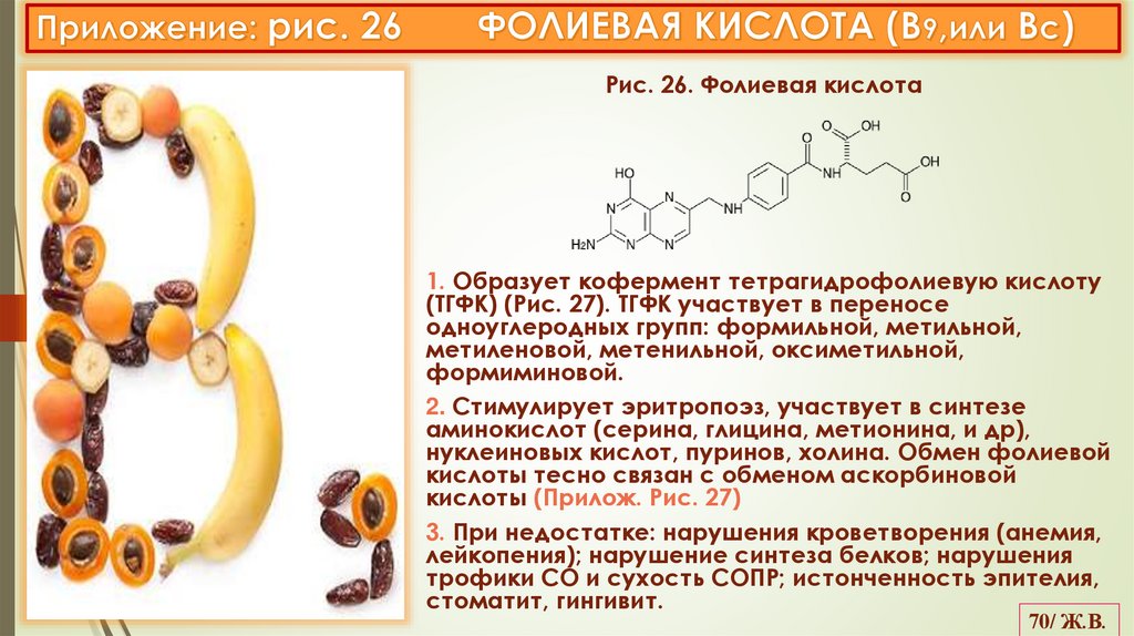 Приложение: рис. 26 ФОЛИЕВАЯ КИСЛОТА (В9,или Вс)