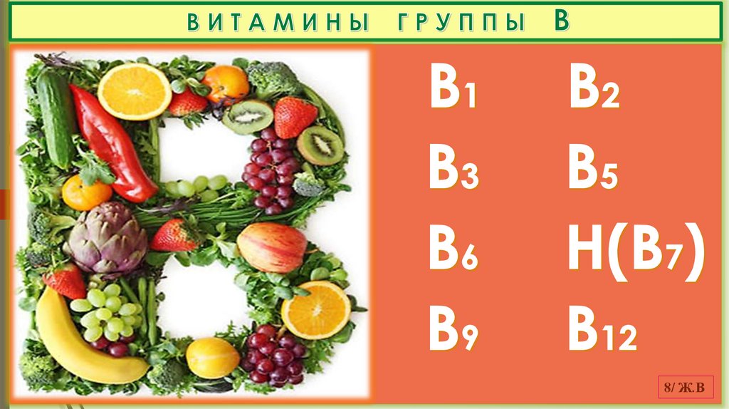 В И Т А М И Н Ы Г Р У П П Ы В