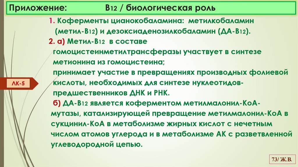 Приложение: В12 / биологическая роль