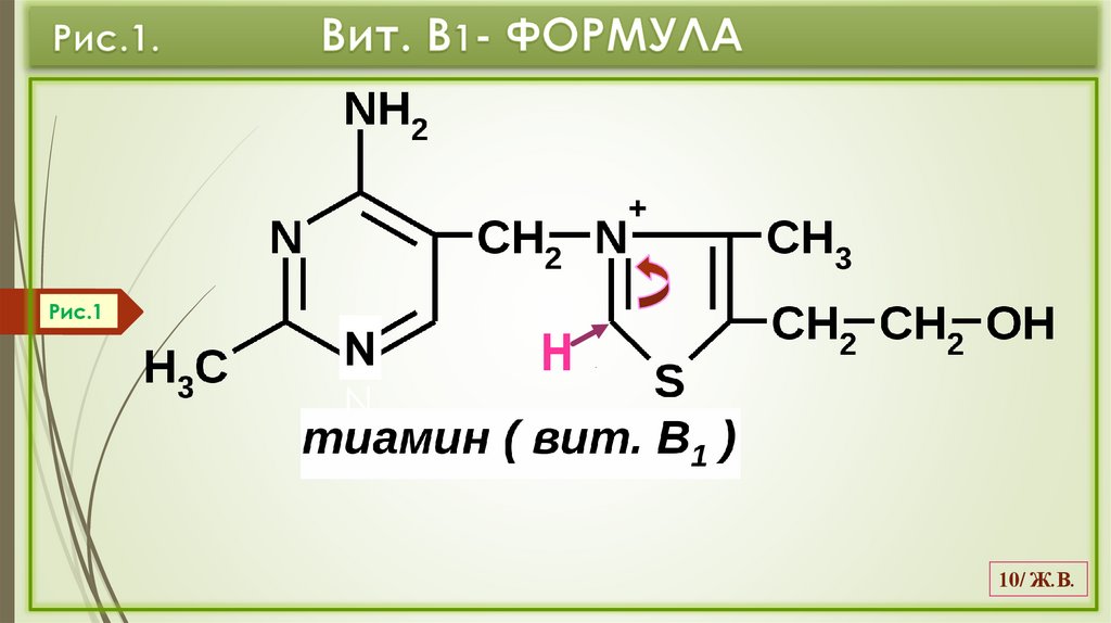 Рис.1. Вит. В1- ФОРМУЛА