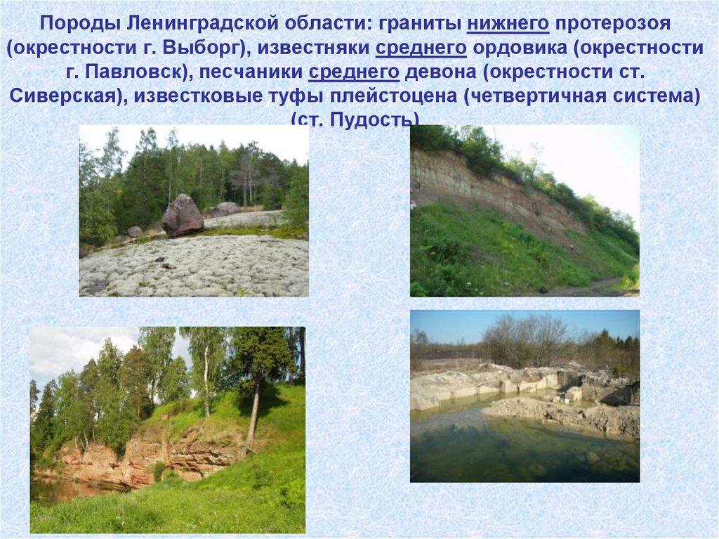 Породы Ленинградской области: граниты нижнего протерозоя (окрестности г. Выборг), известняки среднего ордовика (окрестности г.