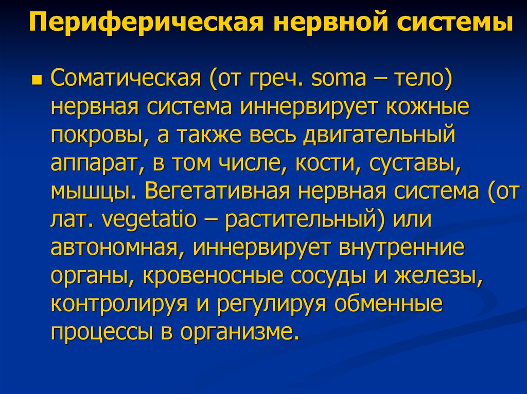 Периферическая нервной системы