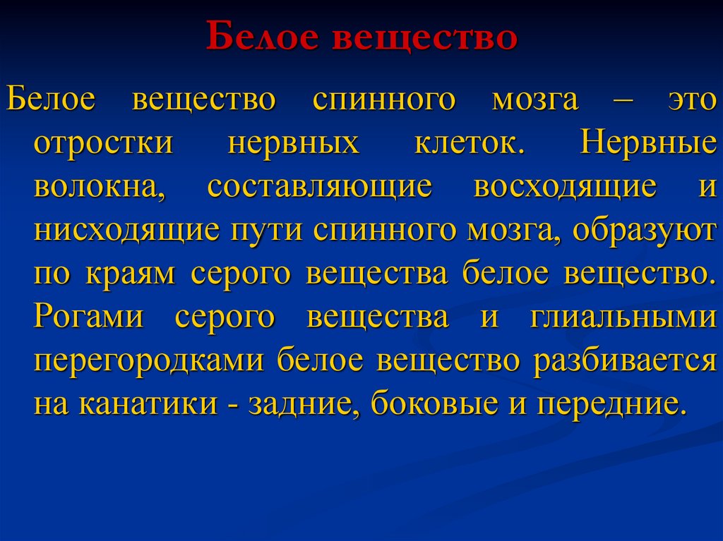 Белое вещество