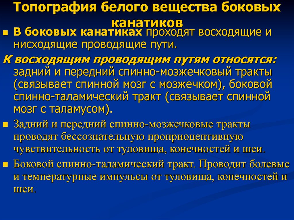 Топография белого вещества боковых канатиков