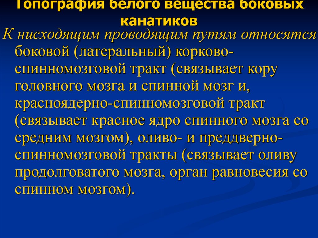 Топография белого вещества боковых канатиков