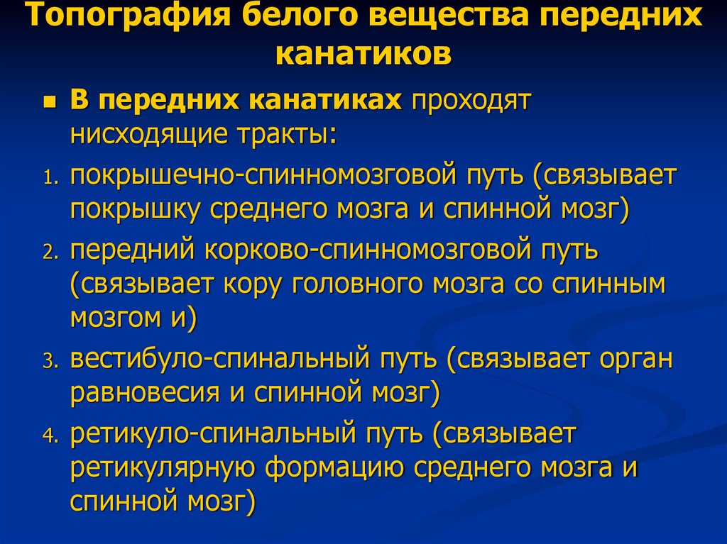 Топография белого вещества передних канатиков