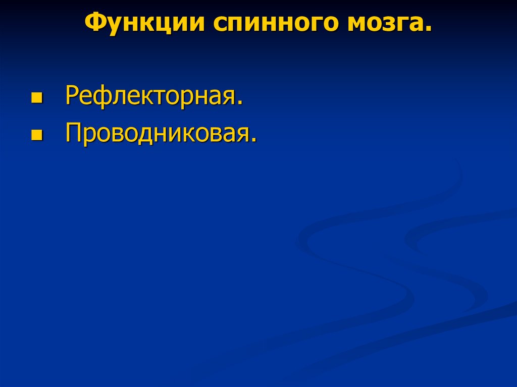 Функции спинного мозга.