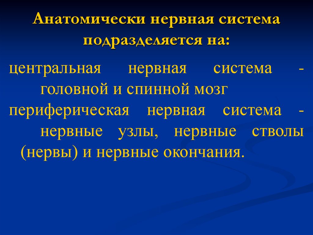 Анатомически нервная система подразделяется на: