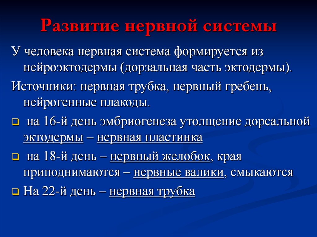 Развитие нервной системы