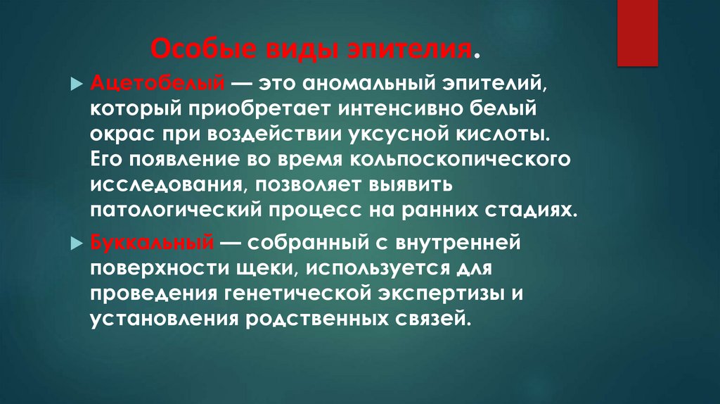 Особые виды эпителия.