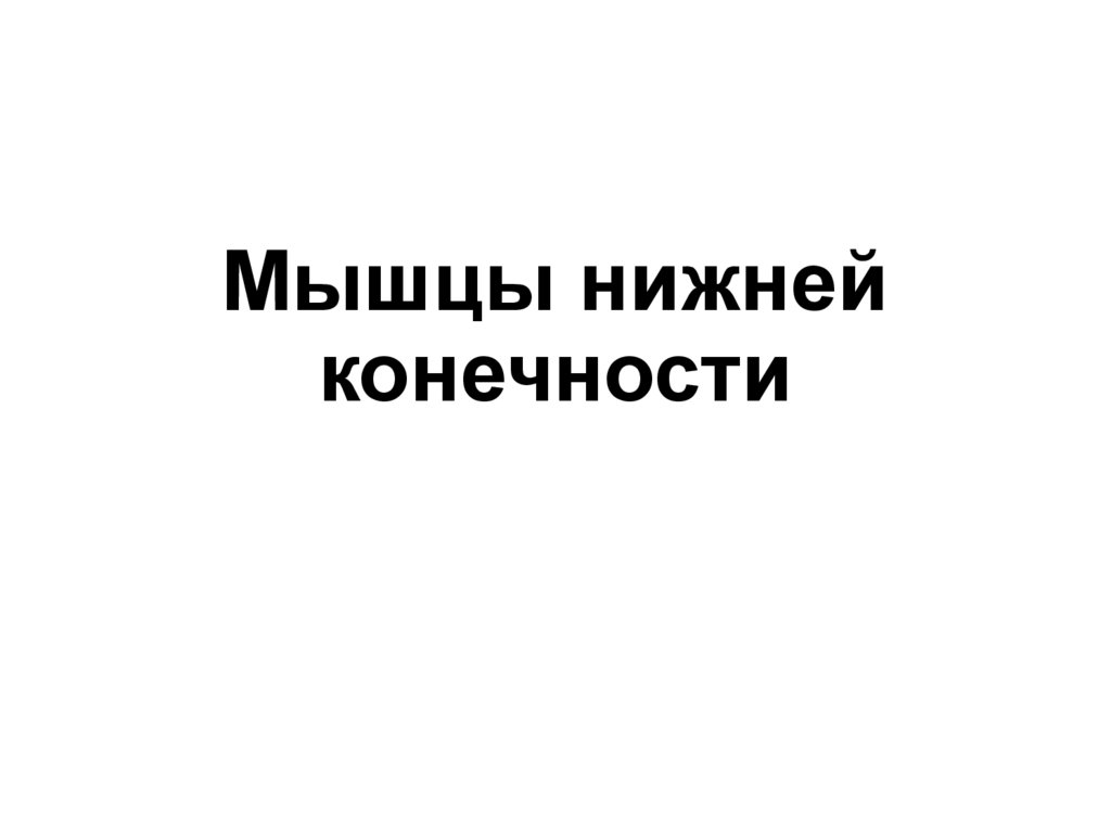 Мышцы нижней конечности