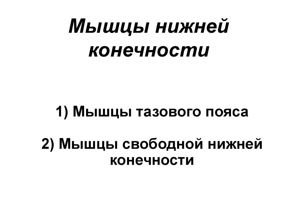 1) Мышцы тазового пояса 2) Мышцы свободной нижней конечности