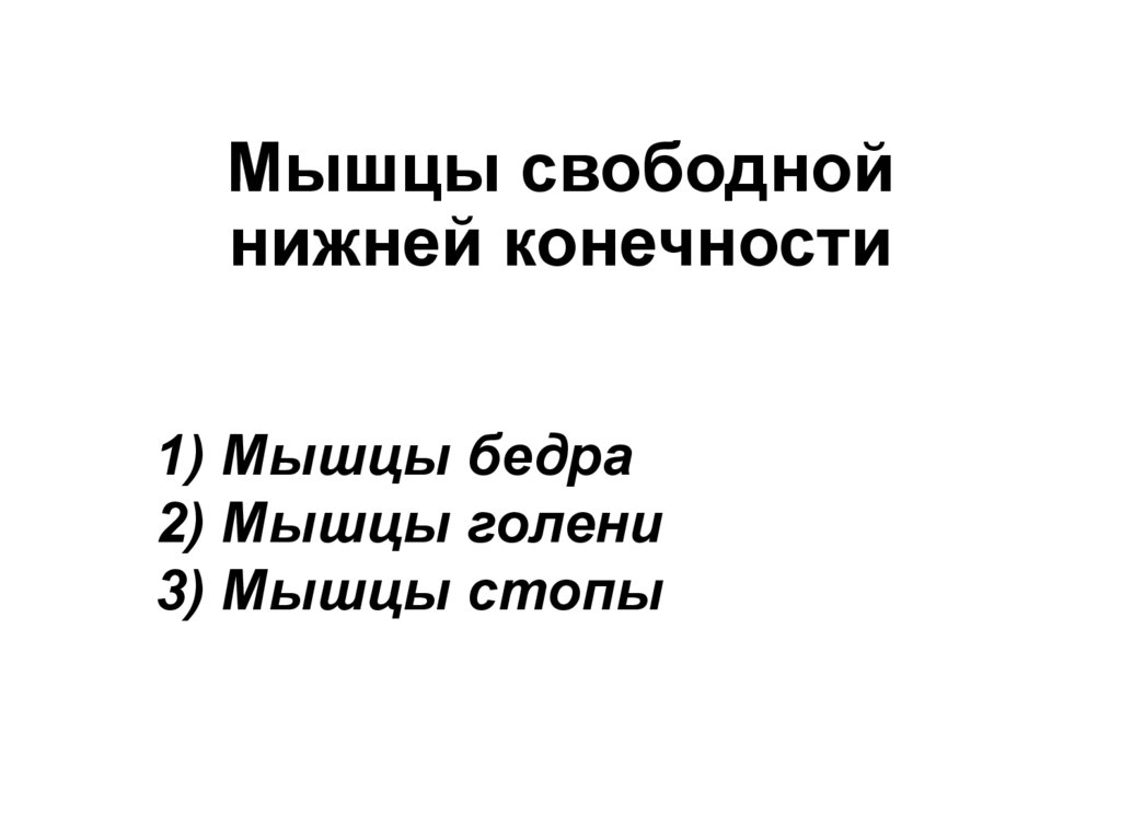 Мышцы свободной нижней конечности