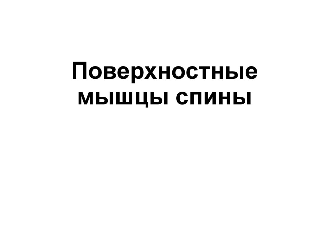 Поверхностные мышцы спины