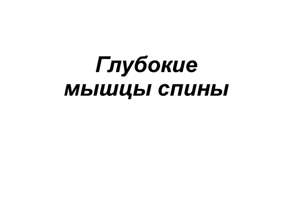 Глубокие мышцы спины