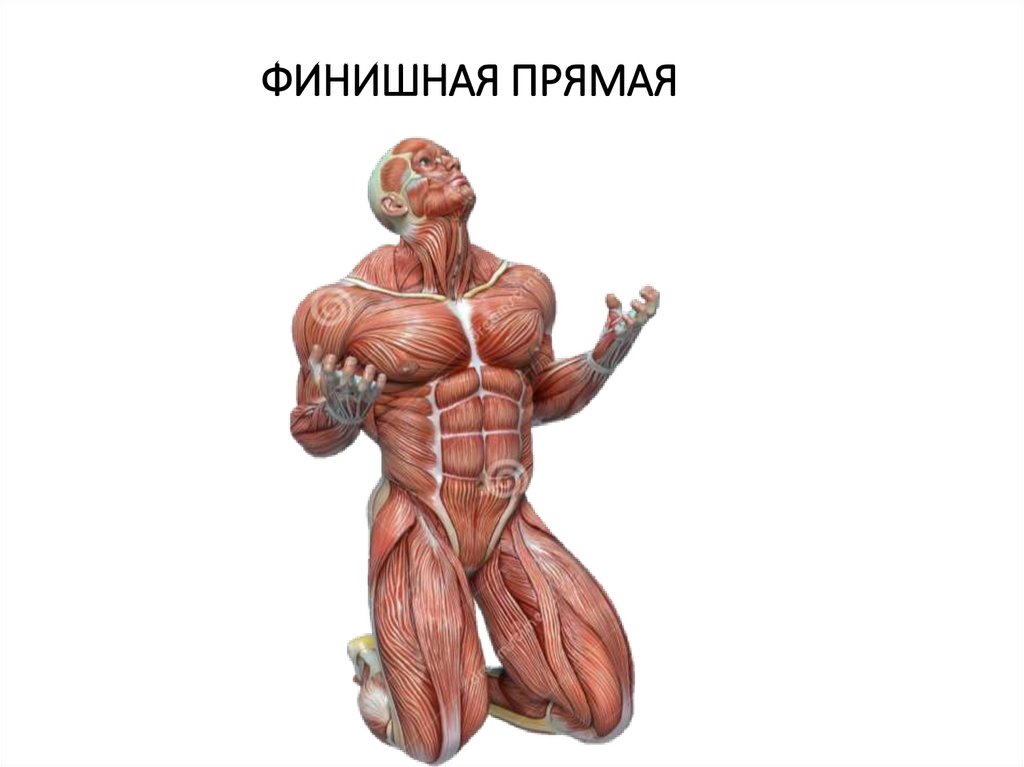 ФИНИШНАЯ ПРЯМАЯ