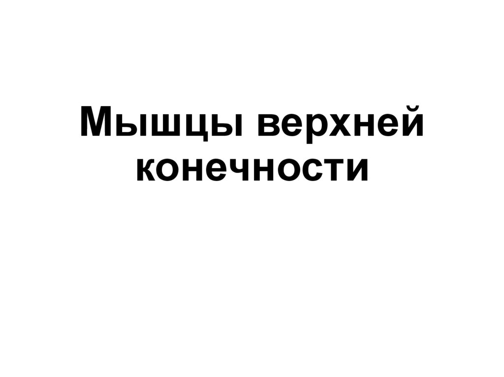 Мышцы верхней конечности