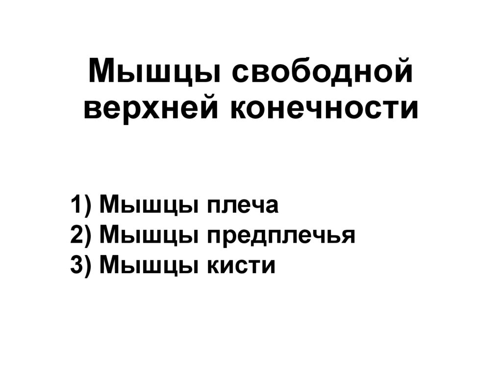 Мышцы свободной верхней конечности