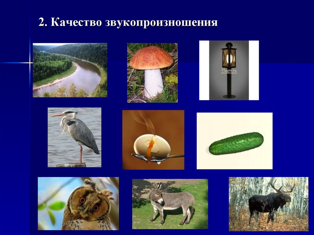 2. Качество звукопроизношения