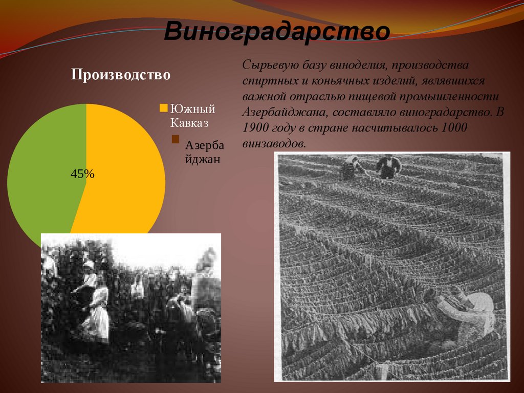 Виноградарство