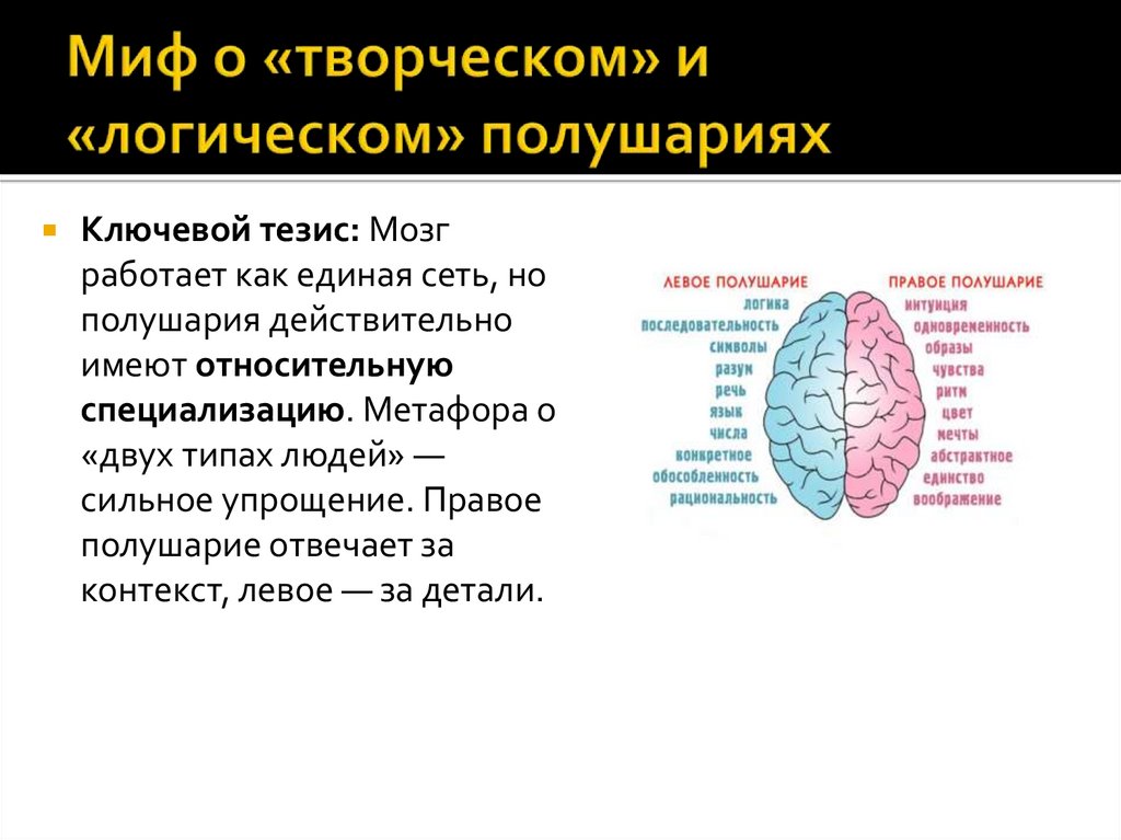 Миф о «творческом» и «логическом» полушариях