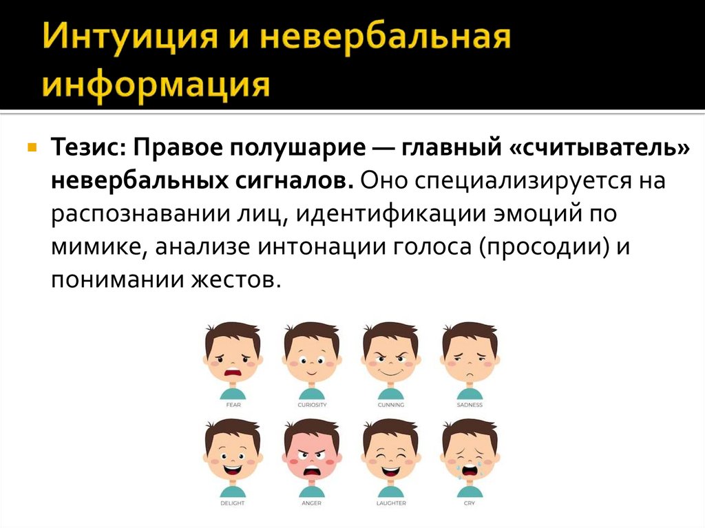 Интуиция и невербальная информация