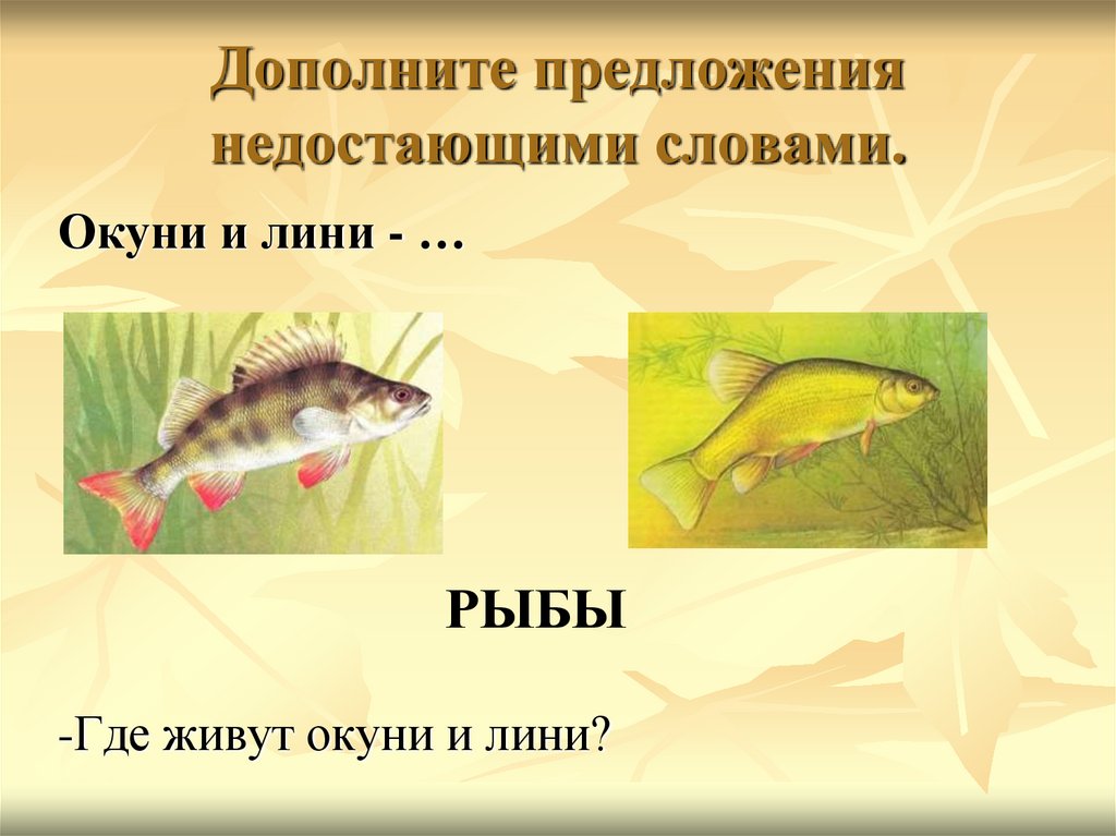 Дополните предложения недостающими словами.