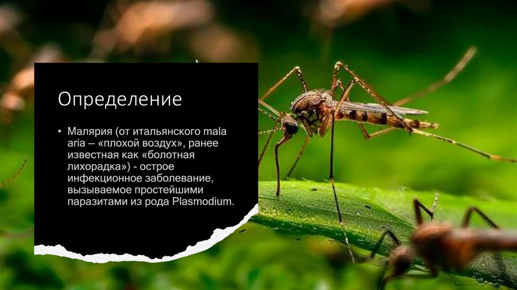 Определение