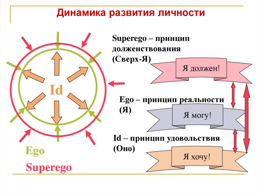 Динамика развития личности