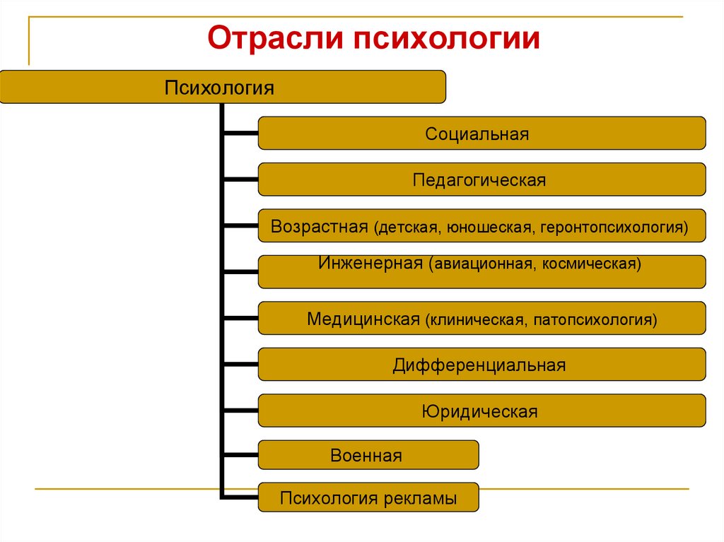 Отрасли психологии
