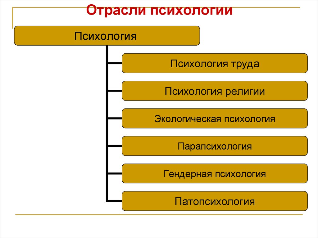 Отрасли психологии