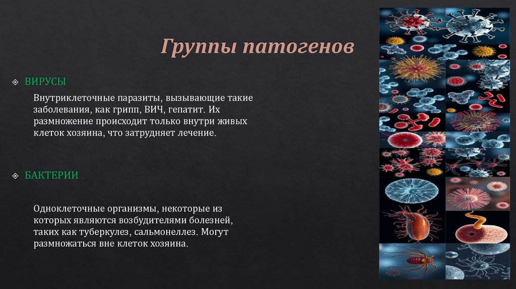 Группы патогенов