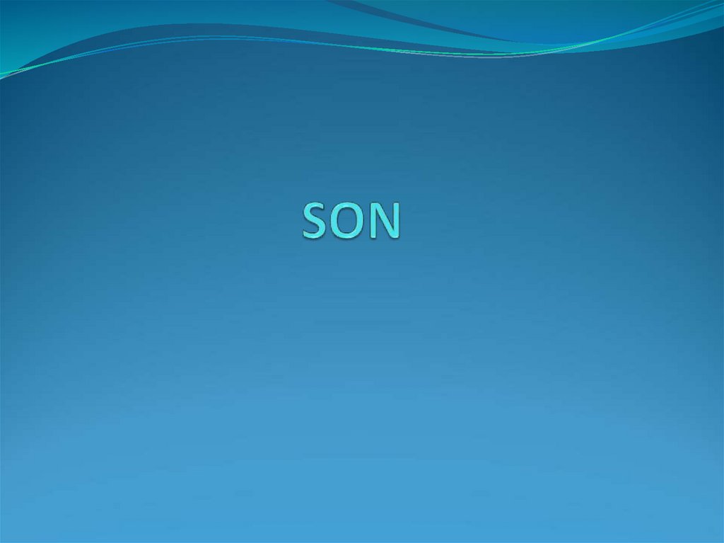 SON