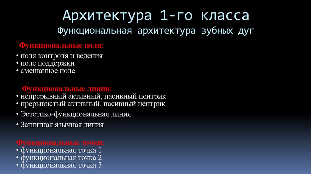 Архитектура 1-го класса Функциональная архитектура зубных дуг