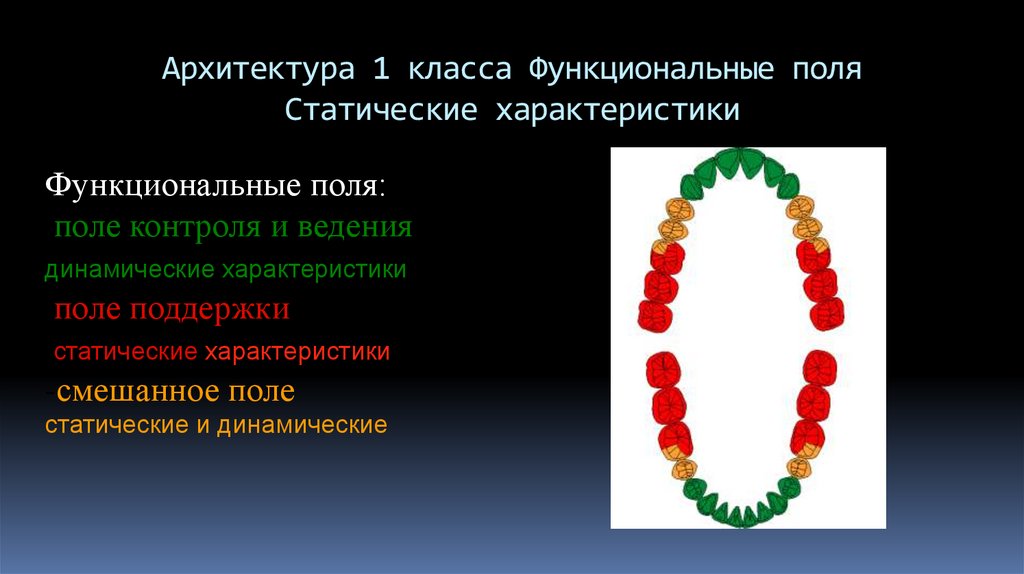 Архитектура 1 класса Функциональные поля Статические характеристики