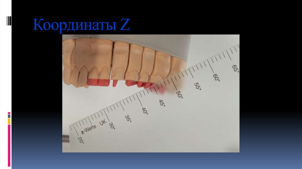 Координаты Z