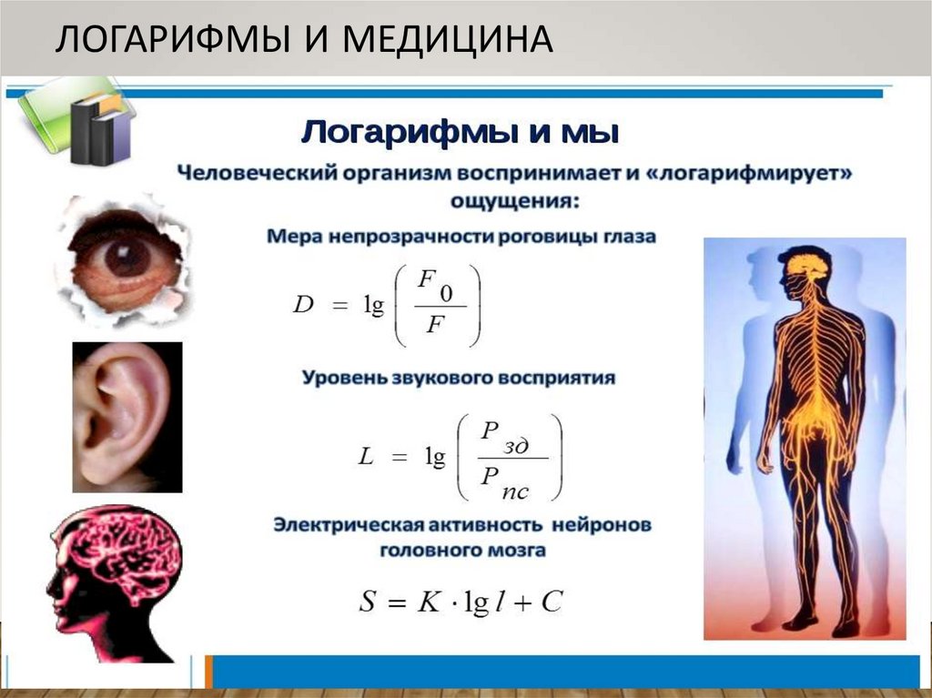 Логарифмы и медицина