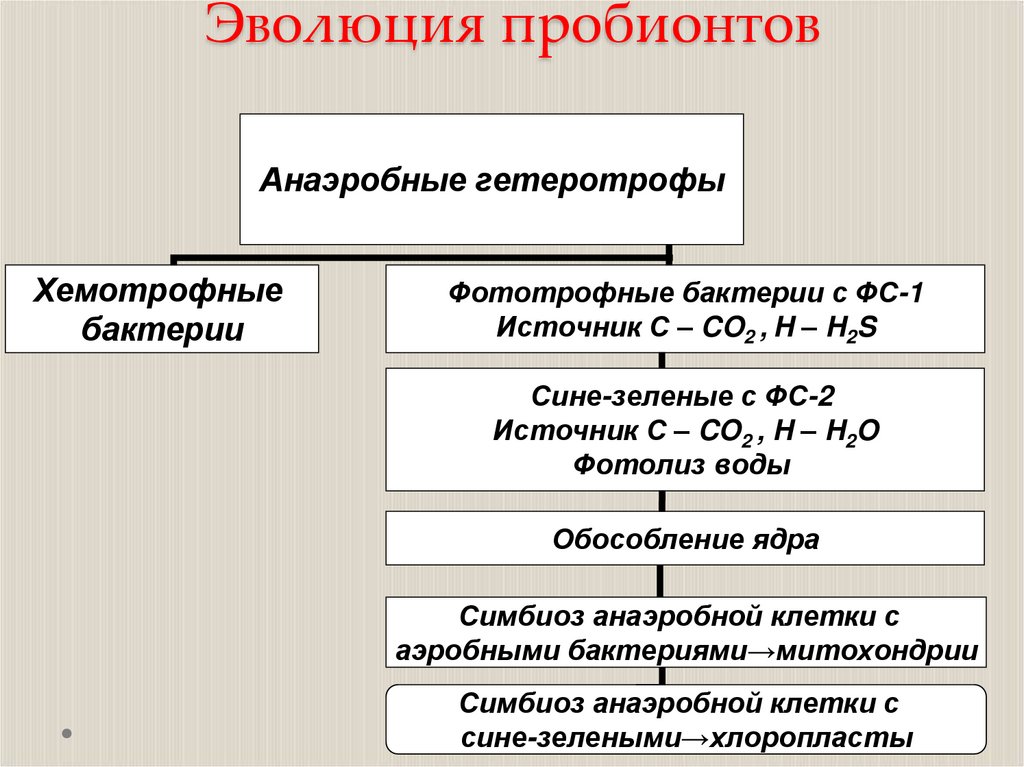 Эволюция пробионтов