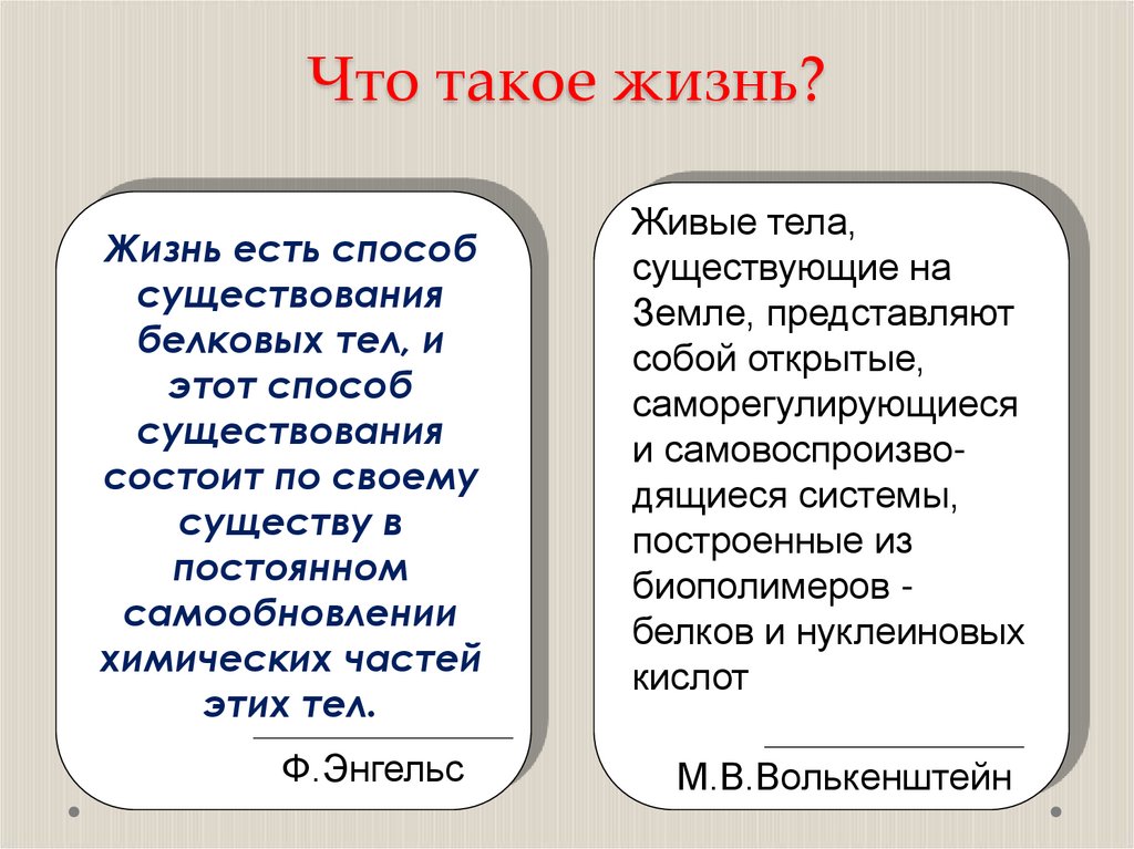 Что такое жизнь?