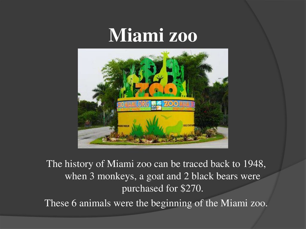 Miami zoo