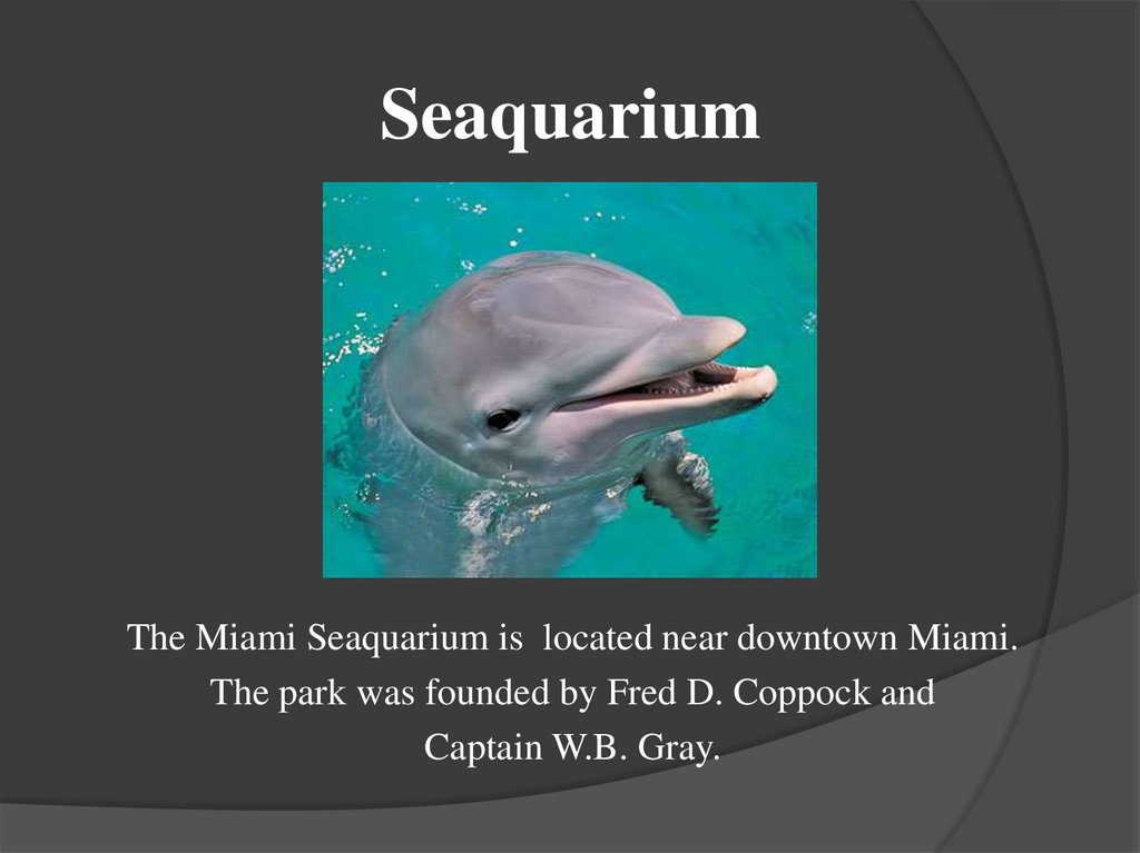 Seaquarium