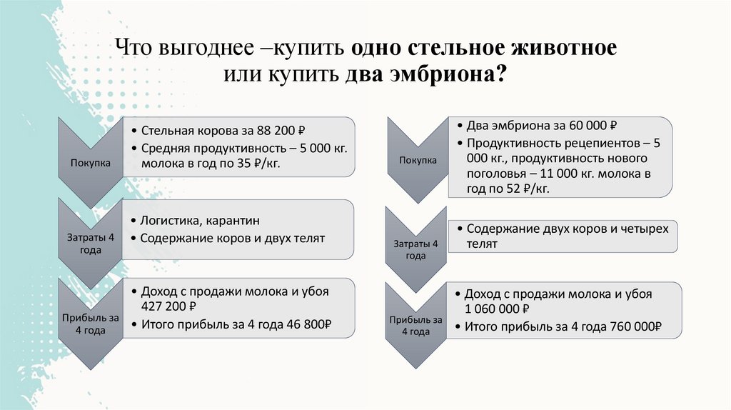 Что выгоднее –купить одно стельное животное или купить два эмбриона?