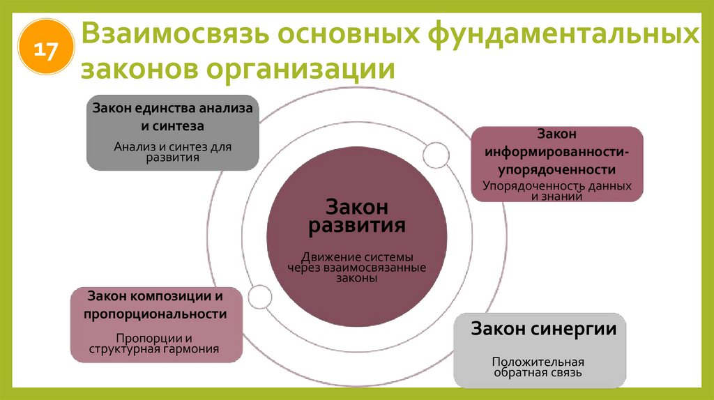 Взаимосвязь основных фундаментальных законов организации