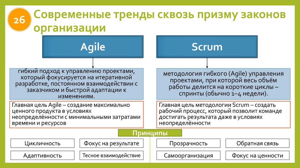 Современные тренды сквозь призму законов организации