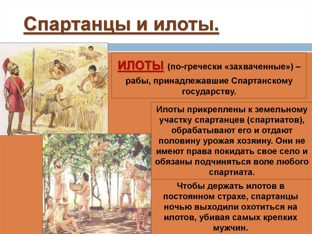 Спартанцы и илоты.