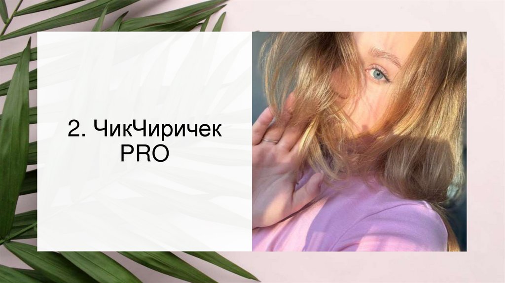 2. ЧикЧиричек PRO