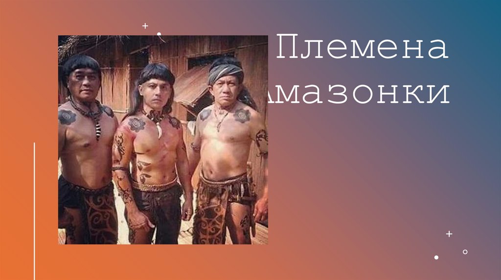 Племена Амазонки