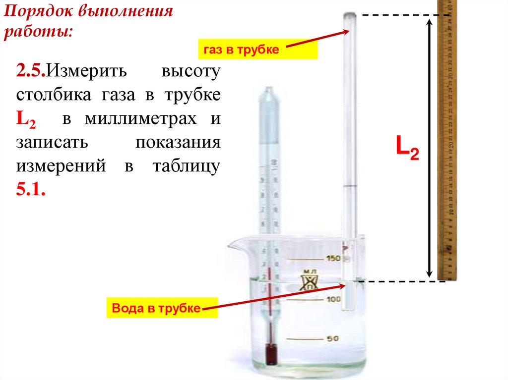Порядок выполнения работы: